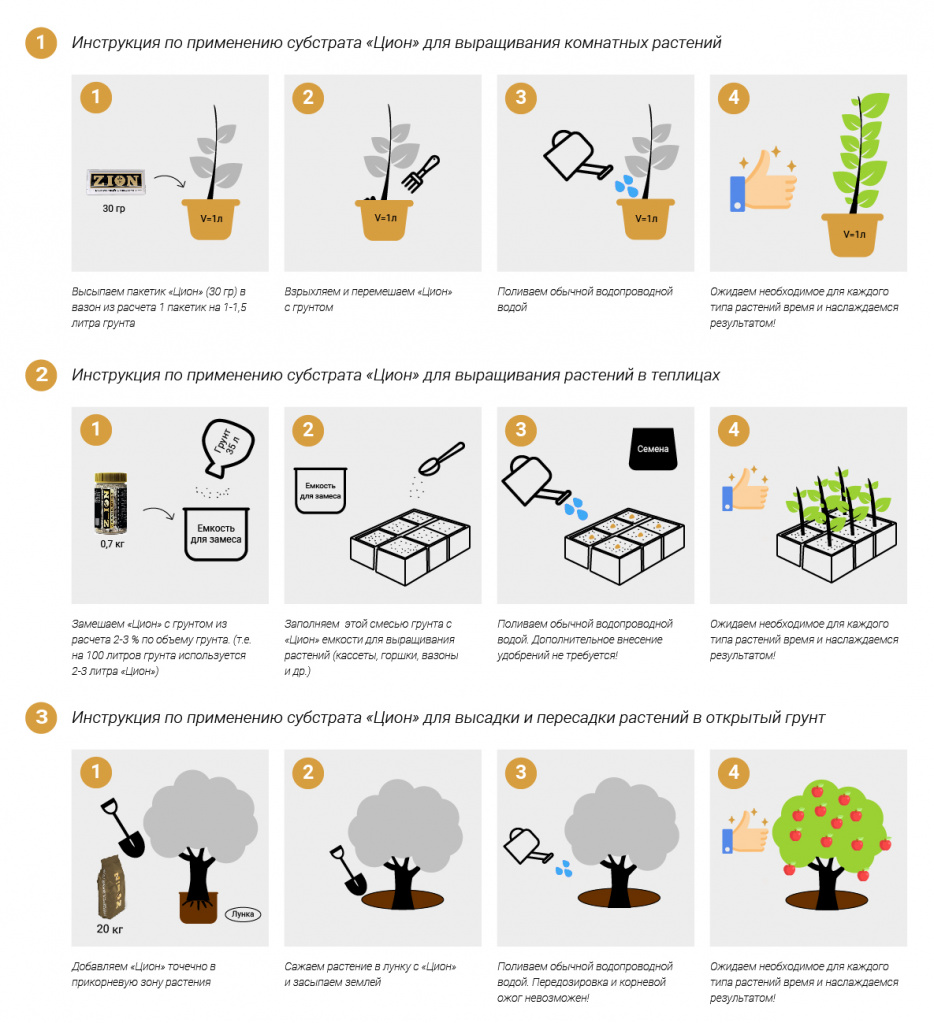 Инструкция ЦИОН